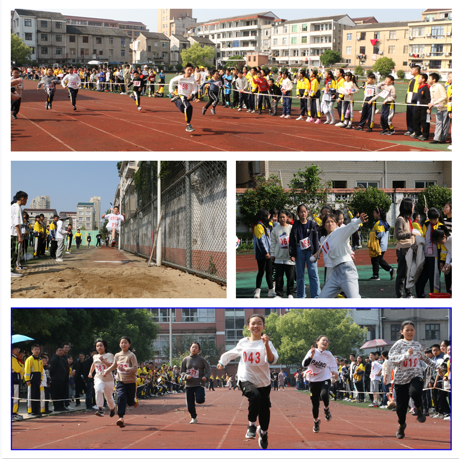 杜桥小学图片