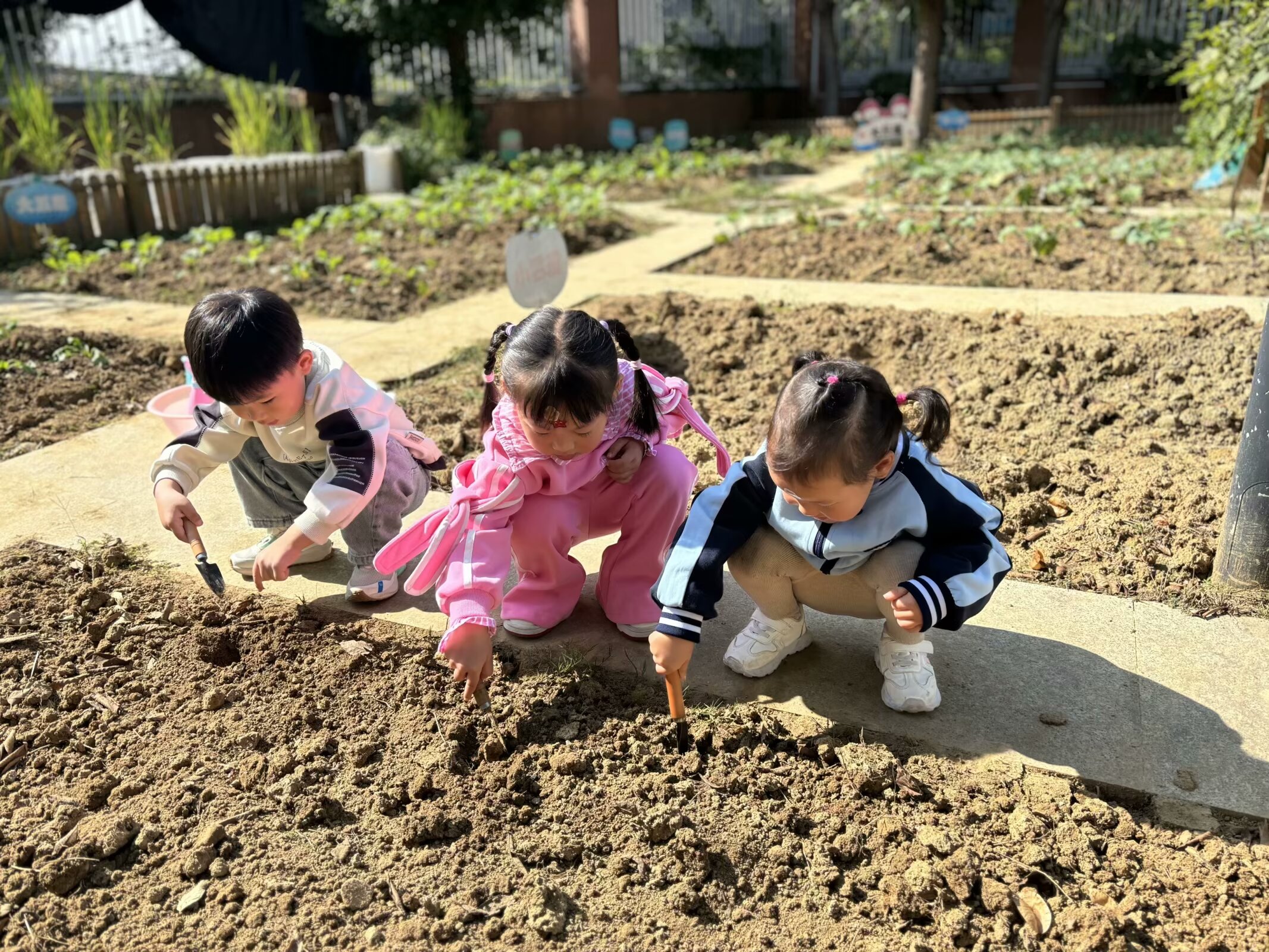 一亩菜园植得期待长兴县林城镇中心幼儿园开展小菜园种植活动