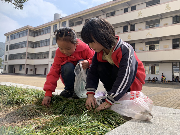 (杭坪镇中心小学 董乔楠 周俏雯)活动最后,校长张红星作了总结发言